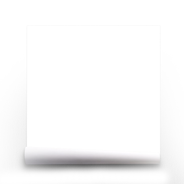 noindex